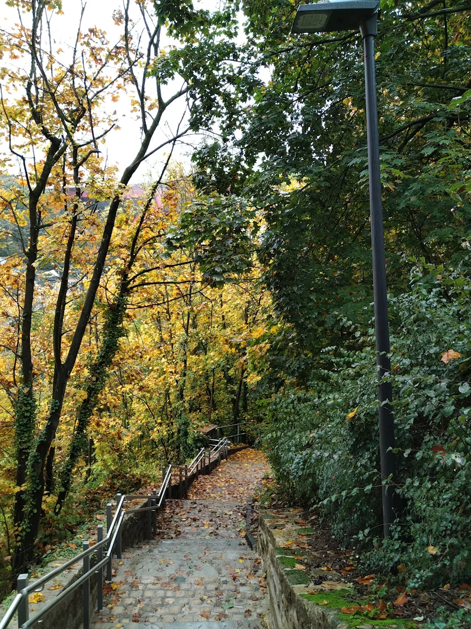Ein Weg führt durch einen bewaldeten Bereich in Luxemburg.